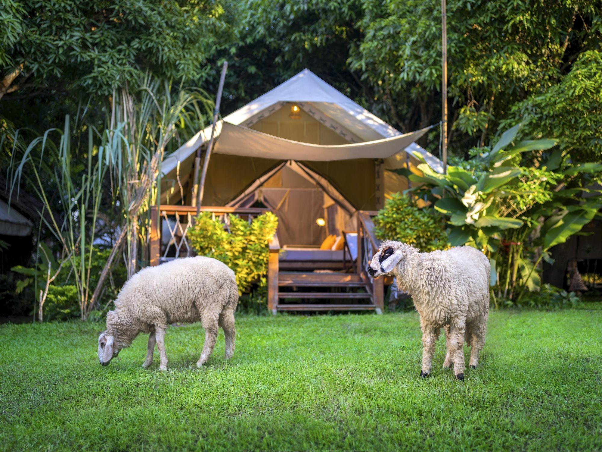 Hintok River Camp Ban Huai Maenam Noi Exterior foto